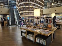 Δείγματα κύριας κάμερας