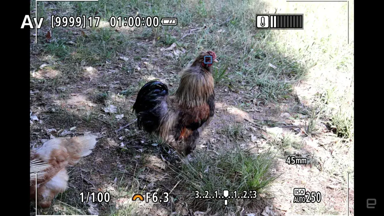 Ανασκόπηση Canon EOS R50: Μεγάλη απόδοση για μια μικροσκοπική κάμερα