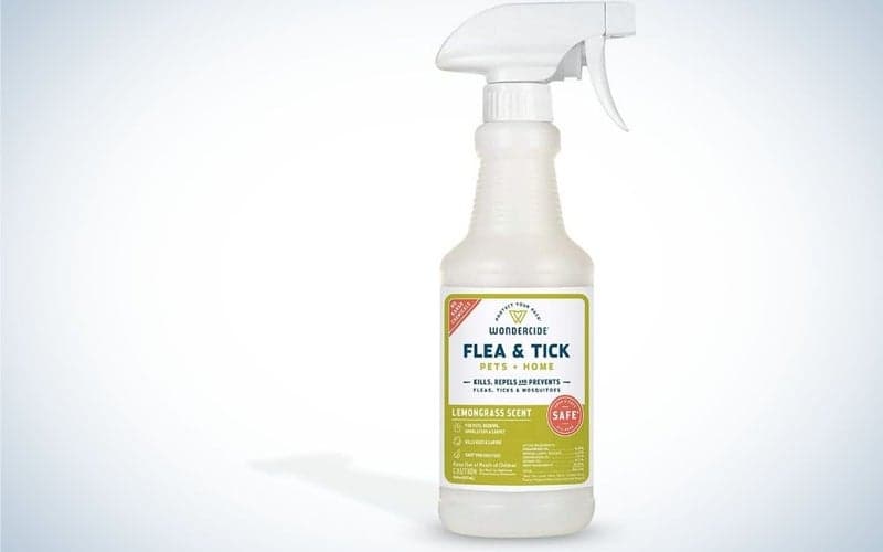 Flea and tick control for dogs