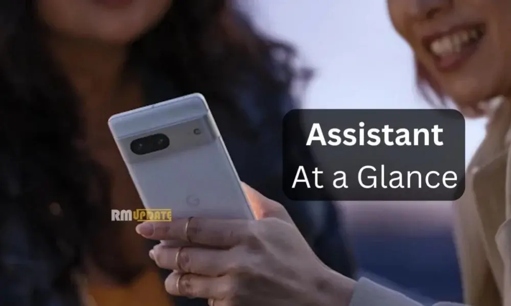 Google Widget Section