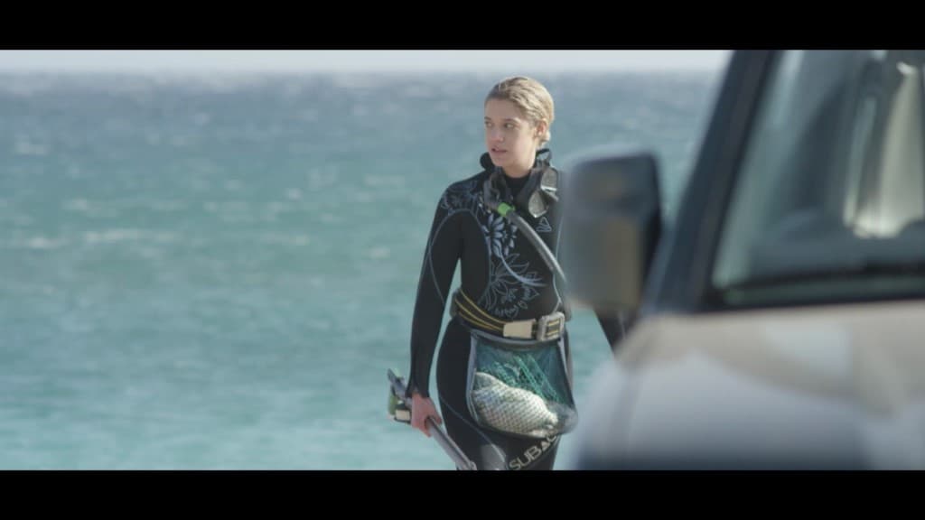 Saison Morte Photo 5