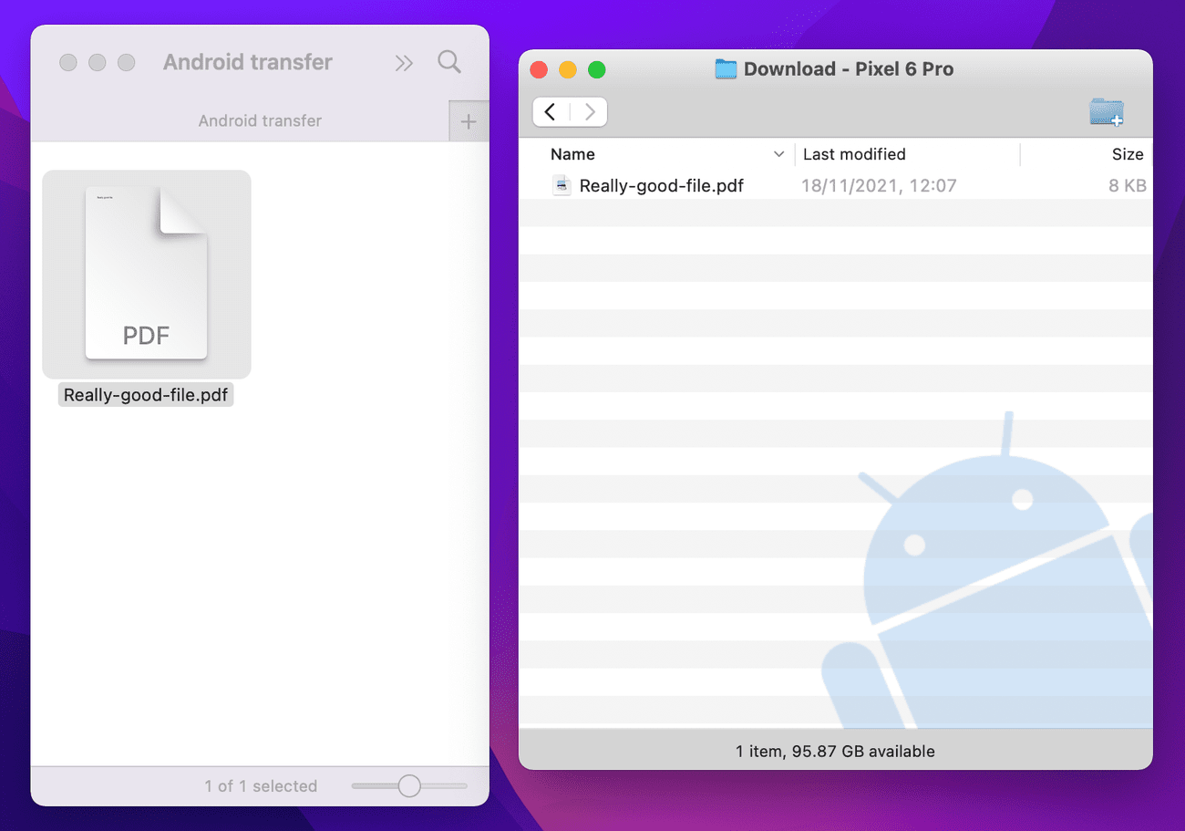 Screenshot of files on Mac