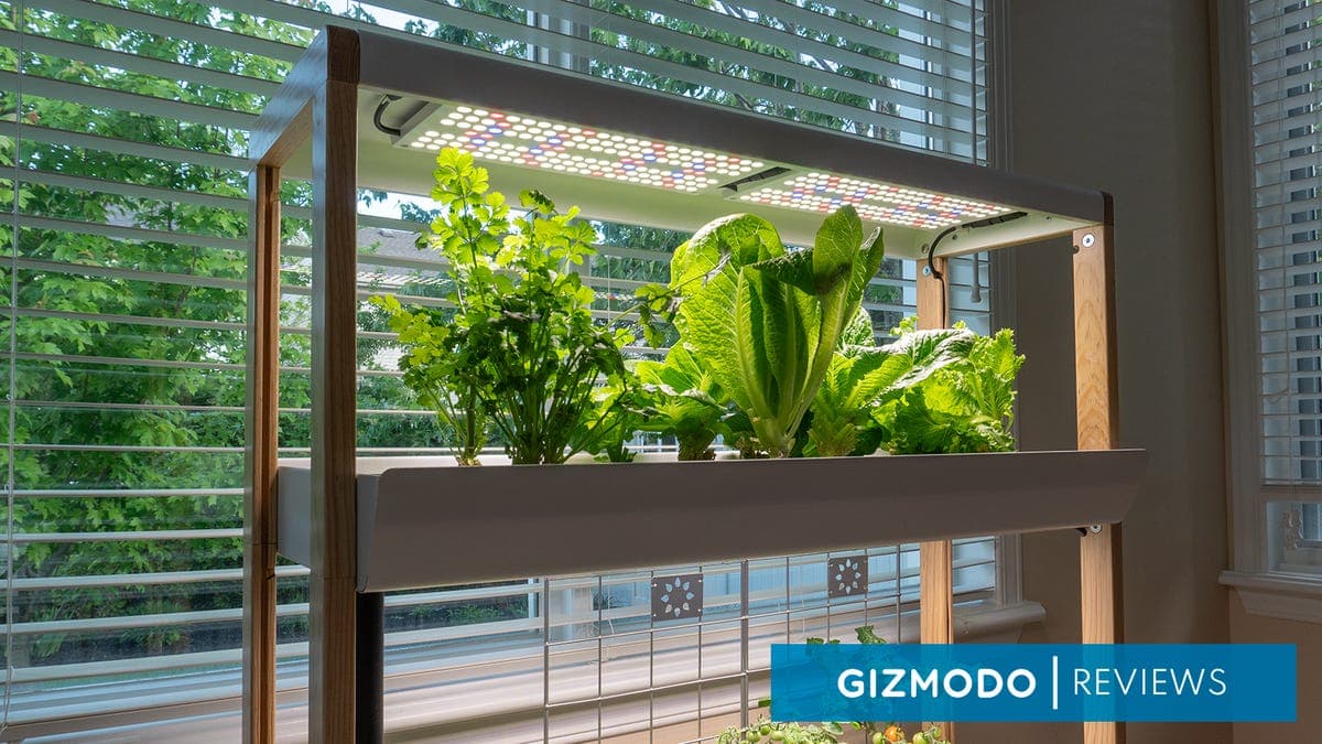 The Rise Hydroponic Garden Will Hold Your Hand With Its App-Assisted Green Thumb