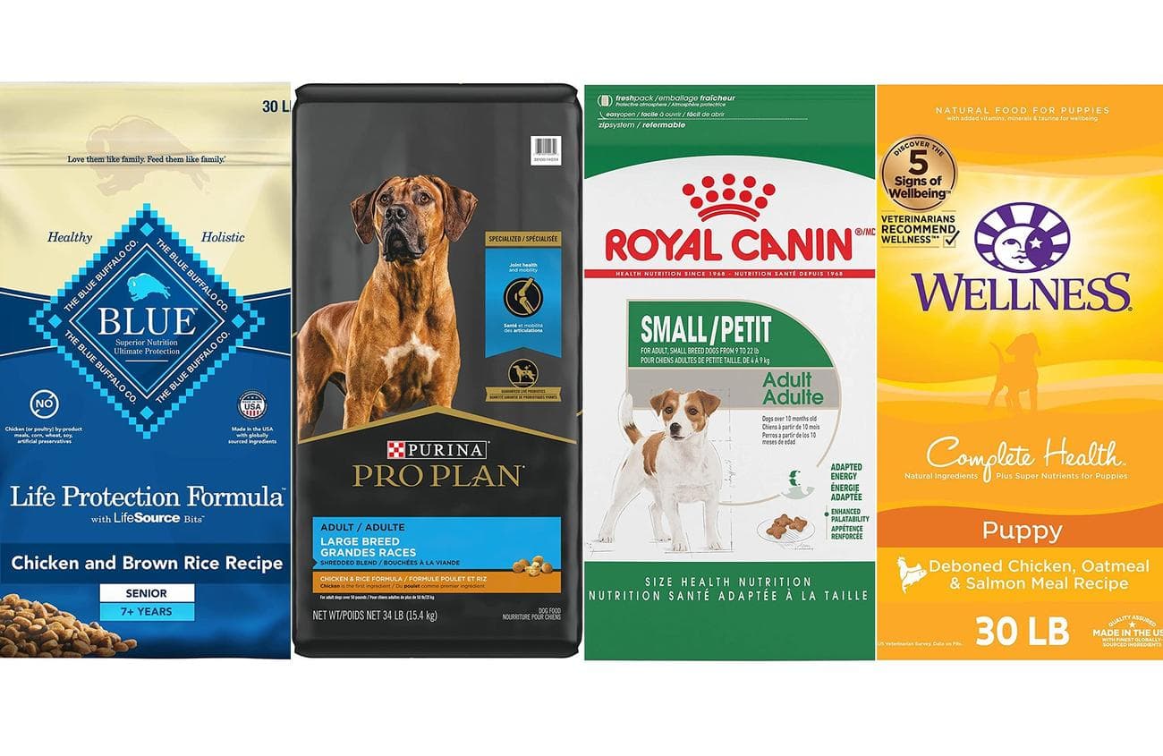 The best dog food composited