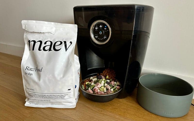 The best dog food Maev best raw dog food