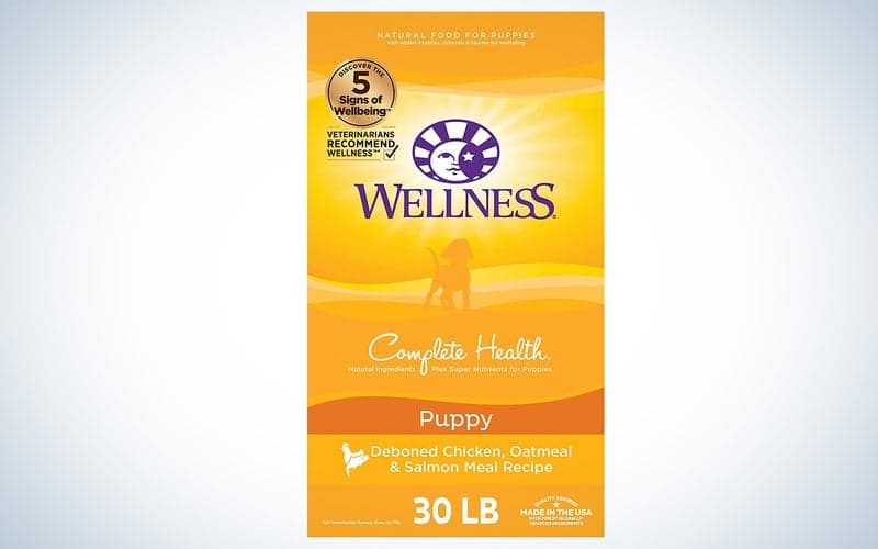 The best dog food for puppies Wellness bag