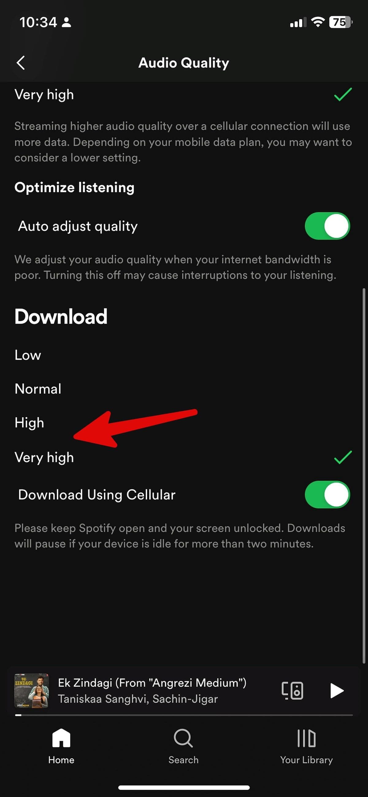 ορίστε την ποιότητα λήψης για το spotify για iOS