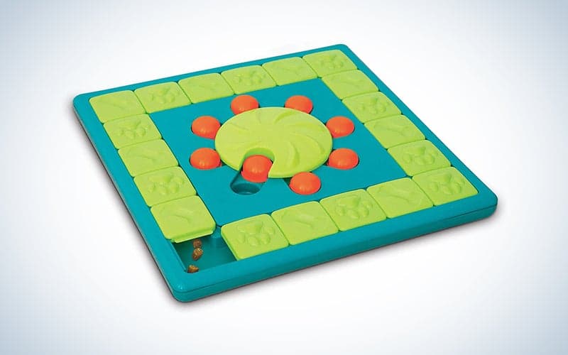 πολύχρωμο παζλ σκληρού σκύλου με λιχουδιές