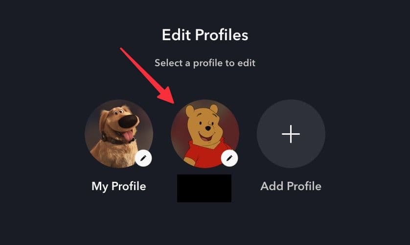 Στιγμιότυπο οθόνης σελίδας Επεξεργασία προφίλ Disney+