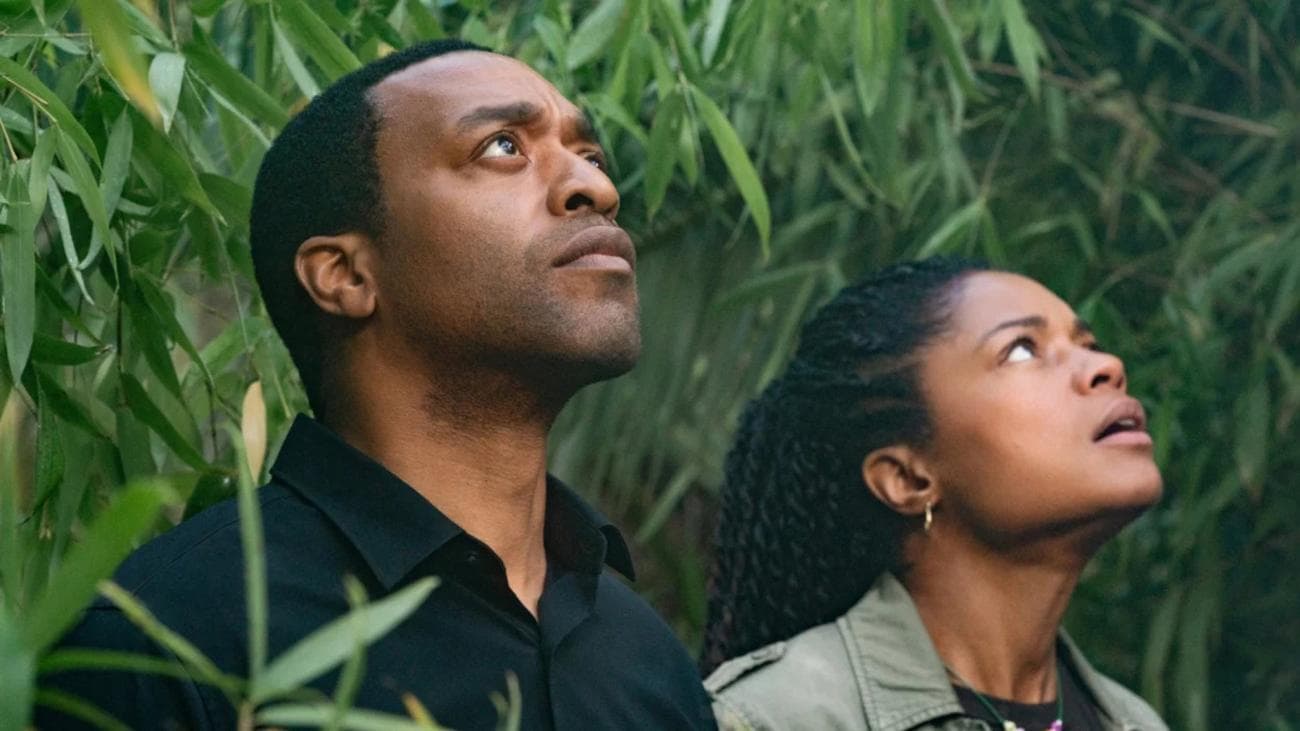 A man and a woman in a bushy area look up to the sky.