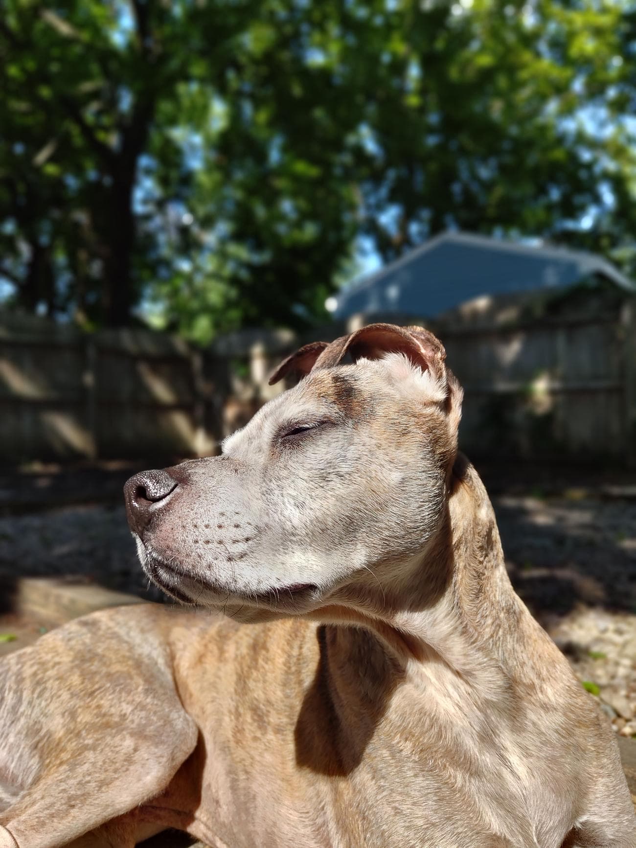 IMG_20230705_162553267