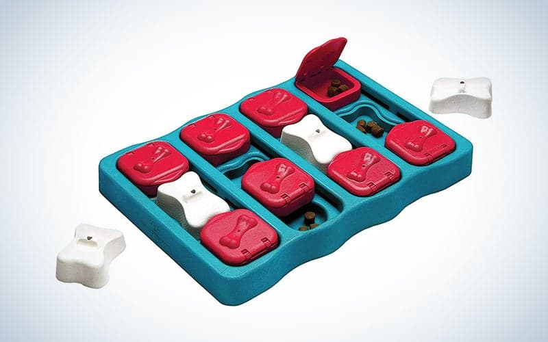 κόκκινο λευκό και μπλε παζλ θεραπεία σκύλου