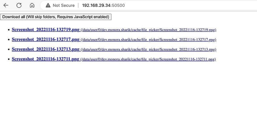 Download files via Sharik