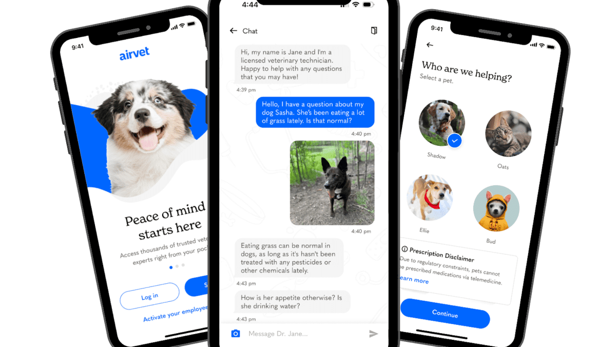 Η εταιρεία τηλευγείας κατοικίδιων ζώων Airvet κλείνει με 18,2 εκατομμύρια δολάρια για να επικεντρωθεί στην επιχείρηση
