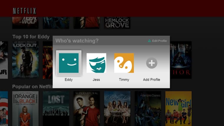 Netflix profiles user interface in 2013