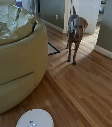 , The Yeedi Mop Station Pro looks futuristic as hell — but is it worth the investment?, TechWar.gr