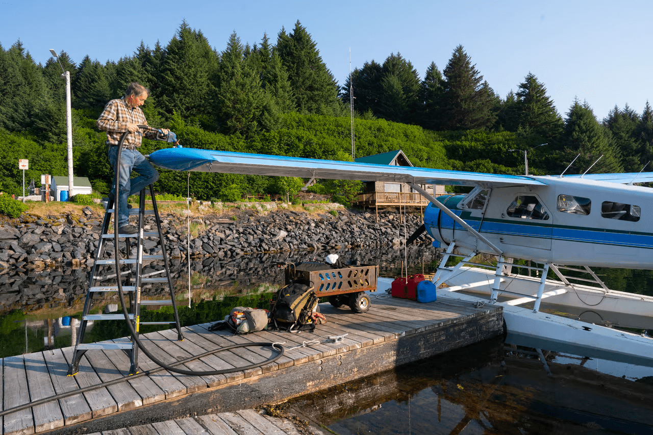 , Feral cows took over a remote Alaskan island, TechWar.gr
