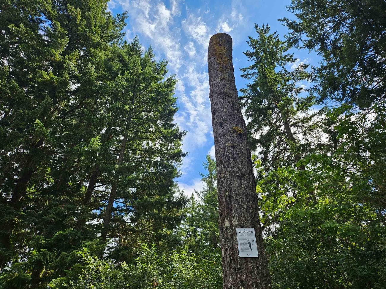 , I Wanted to Like the Big Cover Screen, TechWar.gr