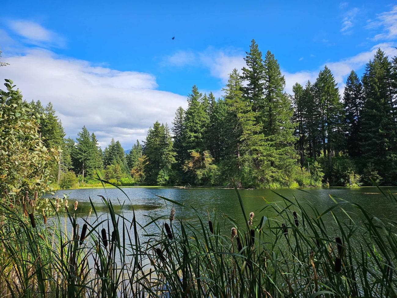 , I Wanted to Like the Big Cover Screen, TechWar.gr