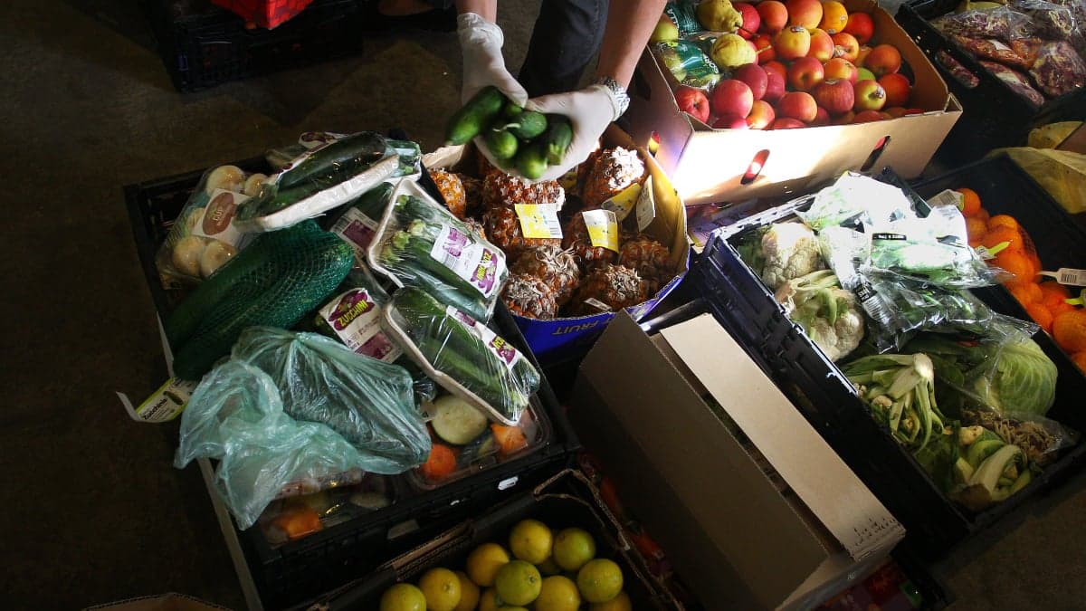 How to get involved in food rescue initiatives
