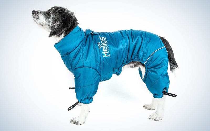 , The best dog coats of 2023, TechWar.gr