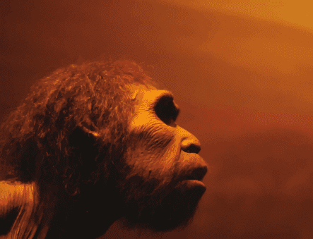 Το υπερβολικό κρύο σκότωσε τους πρώτους ανθρώπους στην Ευρώπη