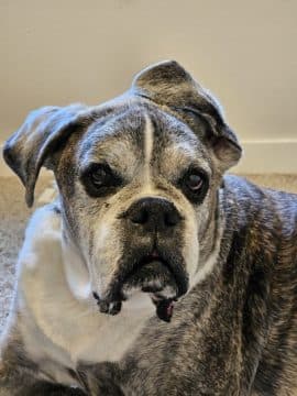 , Samsung Galaxy Z Fold 5 Review: Cool, a New Hinge, TechWar.gr