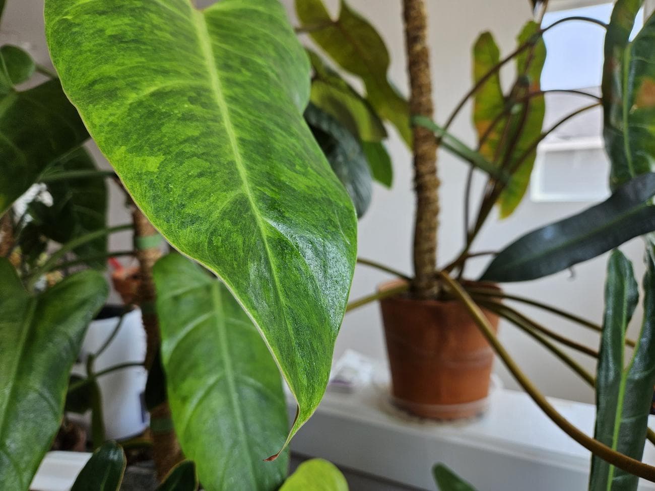 , Samsung Galaxy Z Fold 5 Review: Cool, a New Hinge, TechWar.gr