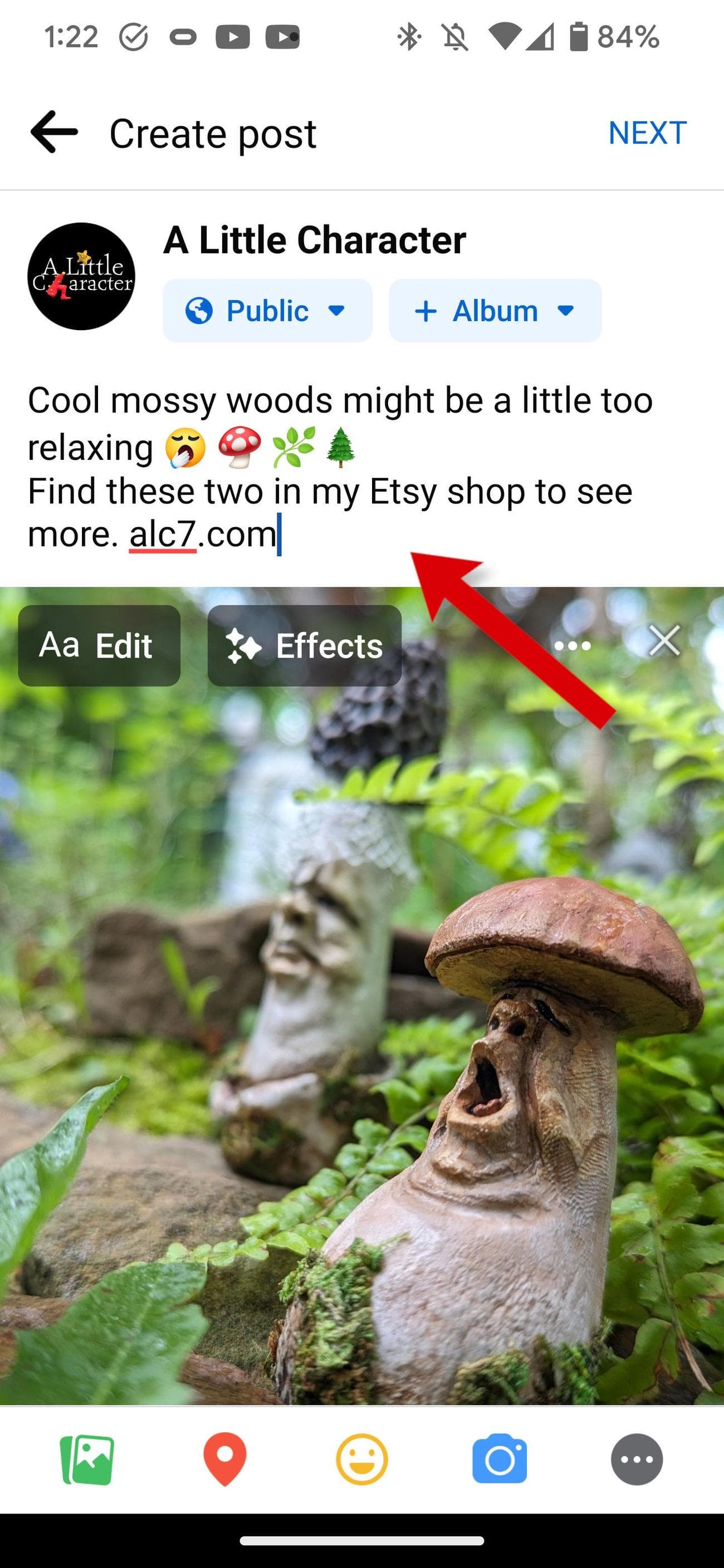 Η εφαρμογή Facebook δείχνει πώς να συμπληρώνετε λεπτομερώς μια ανάρτηση.