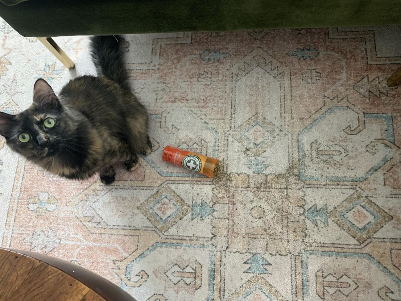 , Dyson V12 Detect Slim review: If you walk barefoot in your home, your vacuum needs a laser, TechWar.gr