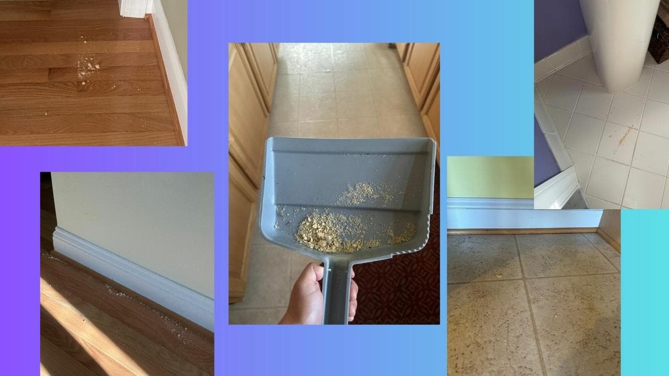 , The Yeedi Mop Station Pro looks futuristic as hell — but is it worth the investment?, TechWar.gr