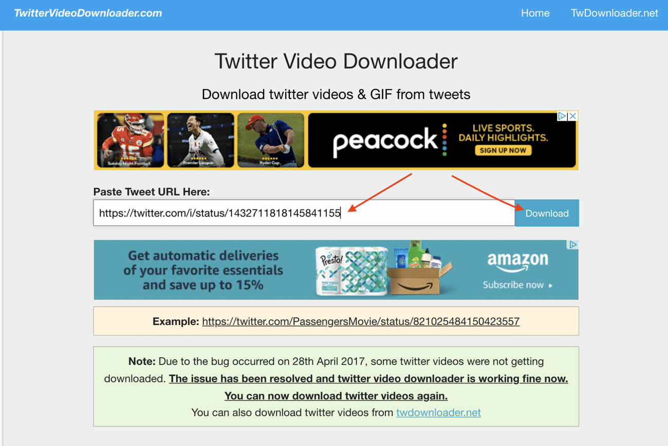 Στιγμιότυπο οθόνης του Twittervideodownloader.com.