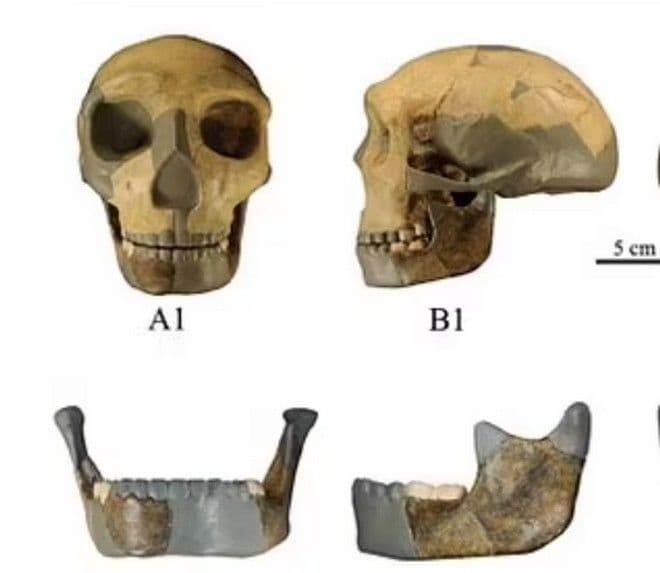 Το κρανίο που βρέθηκε στην Κίνα