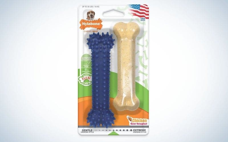 The Nylabone Dental Chew Bone is the best solo dog toy.