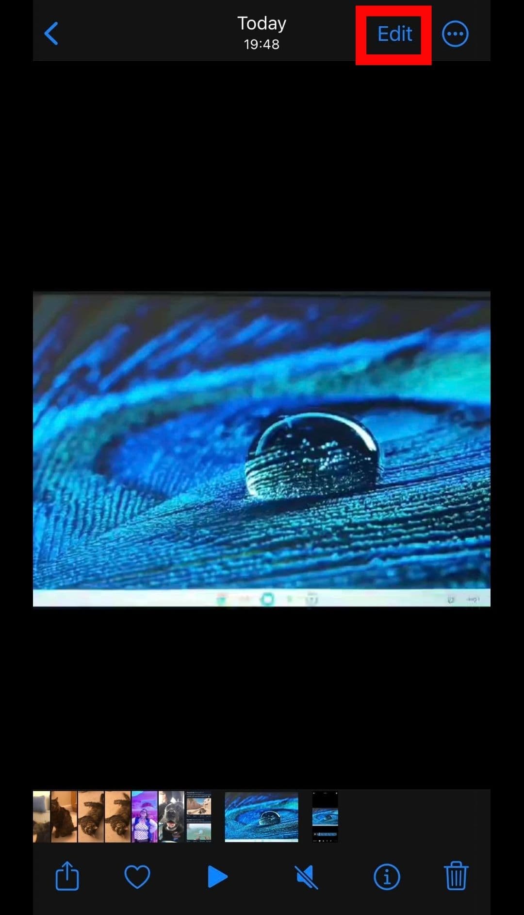 Η διεπαφή της εφαρμογής φωτογραφιών IOS με τονισμένο το κουμπί Επεξεργασία