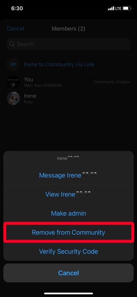 remove a member on WhatsApp community