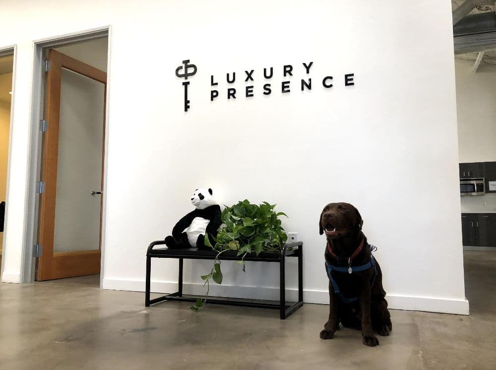 , Η Luxury Presence, η οποία δημιουργεί εργαλεία μάρκετινγκ για μεσίτες, συγκεντρώνει 19,2 εκατομμύρια δολάρια, TechWar.gr