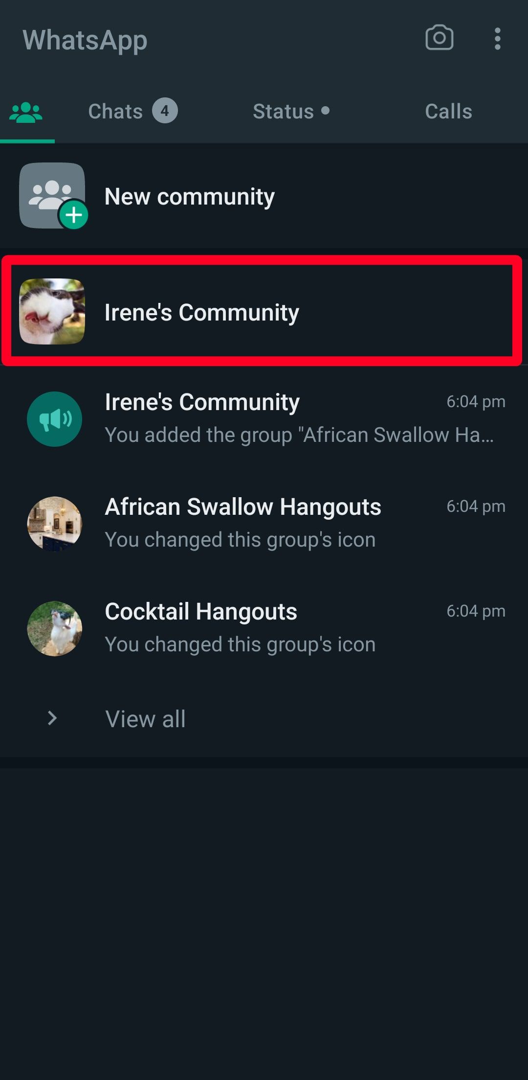 select WhatsApp community on Android
