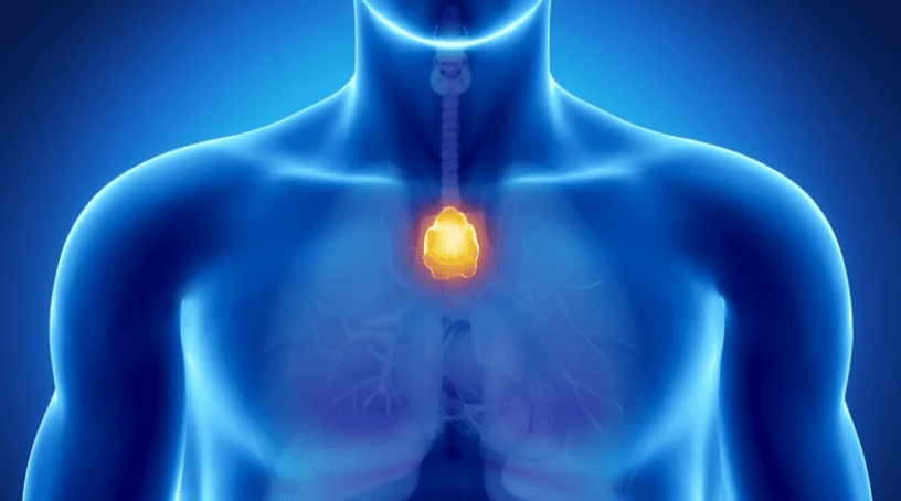 «Άχρηστο» όργανο που συχνά αφαιρούμε, μπορεί να μας προστατεύει από τον καρκίνο