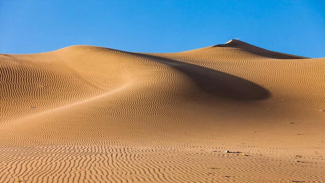 Βρέθηκε το βαρύτερο ζώο που έχει υπάρξει στη Γη, στην έρημο του Περού