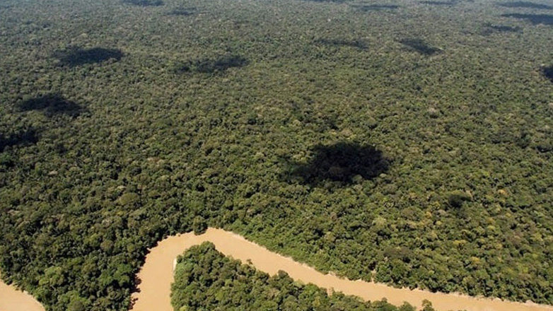 Βραζιλία: Υποτριπλασιάστηκε η αποψίλωση του τροπικού δάσους του Αμαζονίου τον Ιούλιο