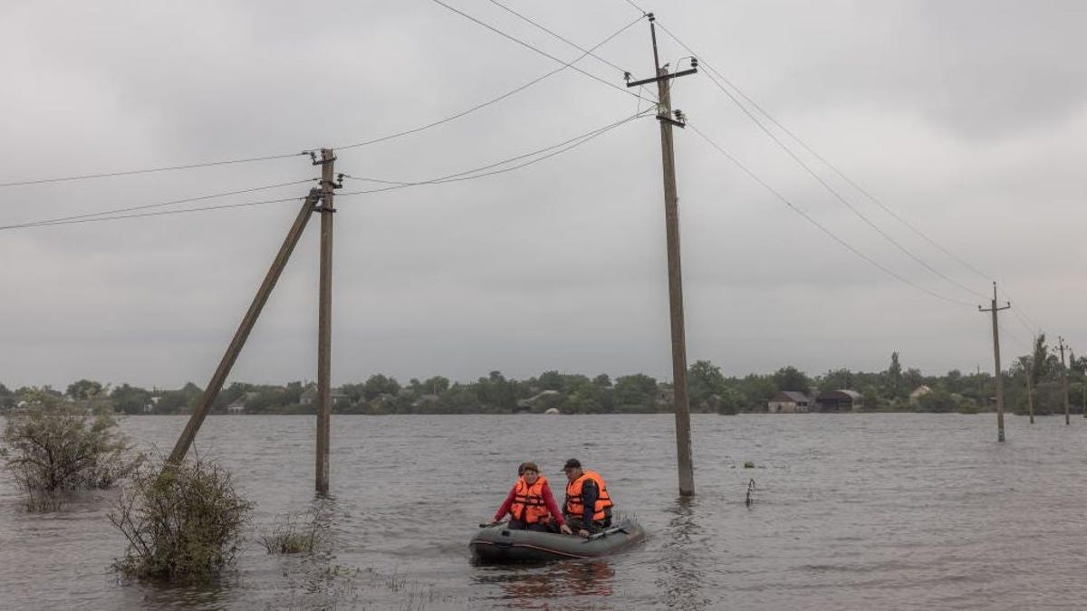 Ο πόλεμος της Ρωσίας κατά της Ουκρανίας σκοτώνει δελφίνια στη Μαύρη Θάλασσα
