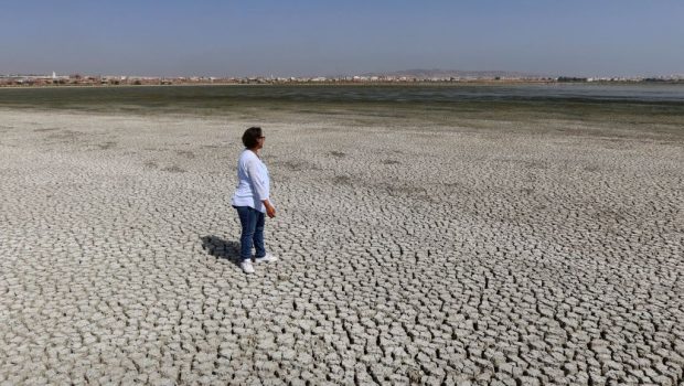 Σπάνια νίκη των ακτιβιστών για το κλίμα