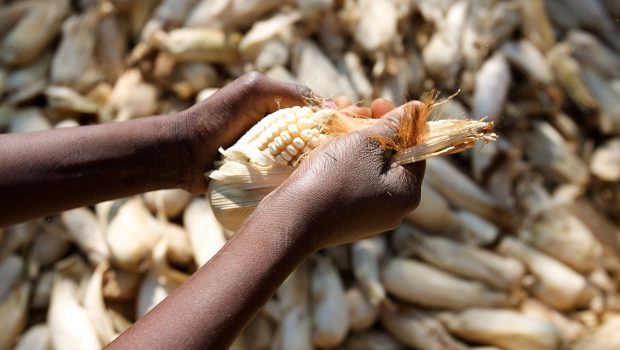 «Φουντώνει» η επισιτιστική ανασφάλεια με την άνοδο της θερμοκρασίας