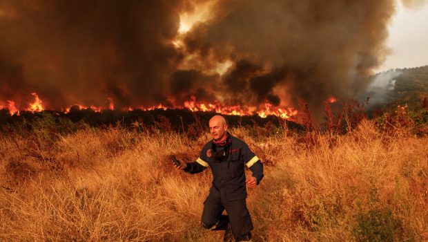 Φωτιά: «Ό,τι κάηκε πρέπει να δοθεί πίσω στην φύση» - Για πρωτοφανή οικολογική καταστροφή μιλά ο εθνοβιολόγος Παύλος Γεωργιάδης