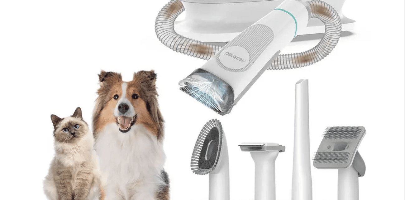 σετ καθαρισμου neakasa P1 pro