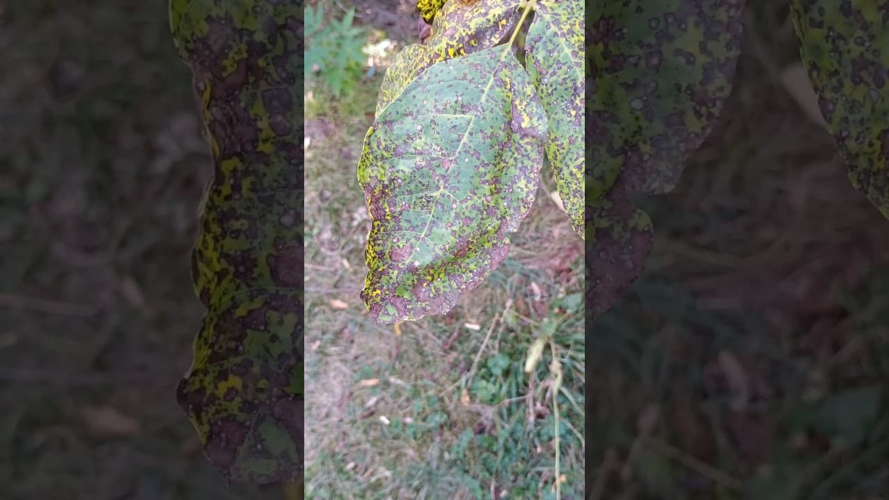 , Motorola Moto G54 5G review, TechWar.gr