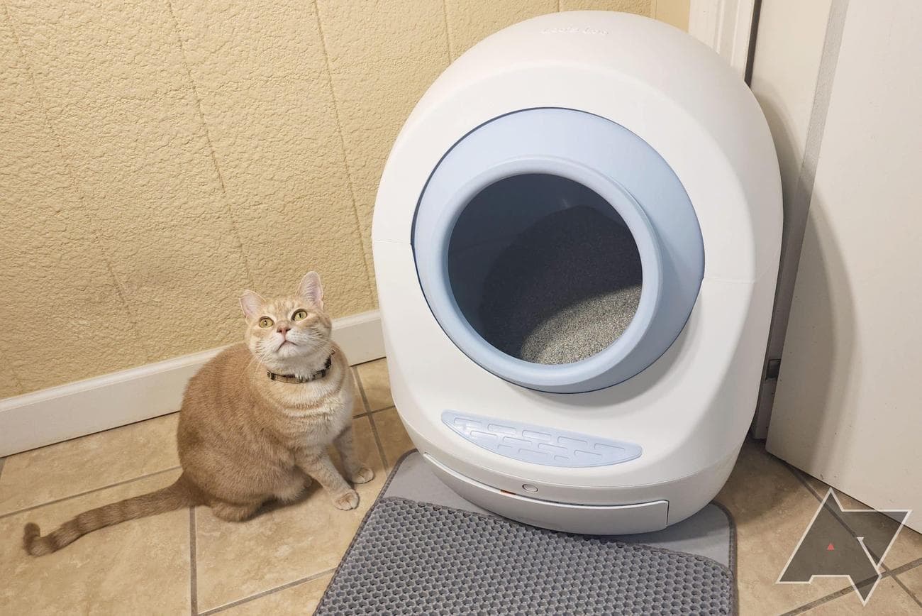 Casa Leo Leo's Loo Too smart litter box review: No more scooping