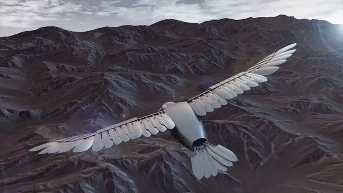 Drone-πουλί πετάει αθόρυβα απλά κουνώντας τα φτερά του (ΒΙΝΤΕΟ)