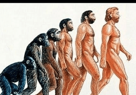 Νέα ευρήματα ενισχύουν τη θεωρία της εμφάνισης του ανθρώπου στην Ευρασία και όχι την Αφρική